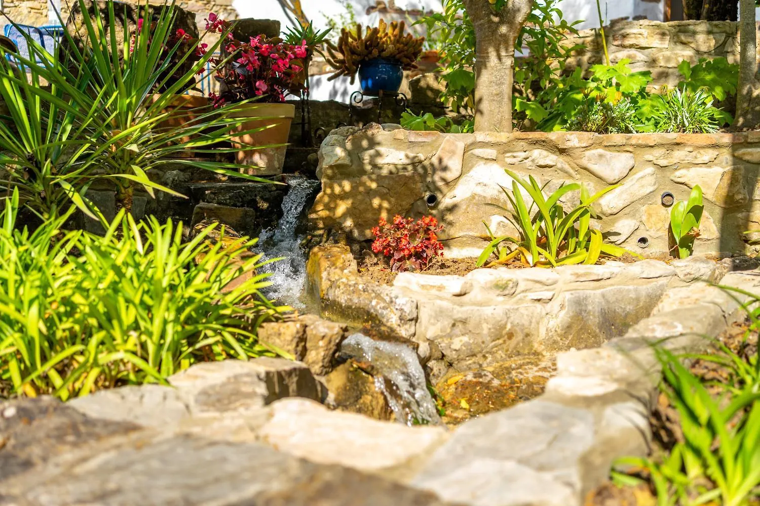 Cinco Lunas Vegetarian Guesthouse Zahara De La Sierra Guest house