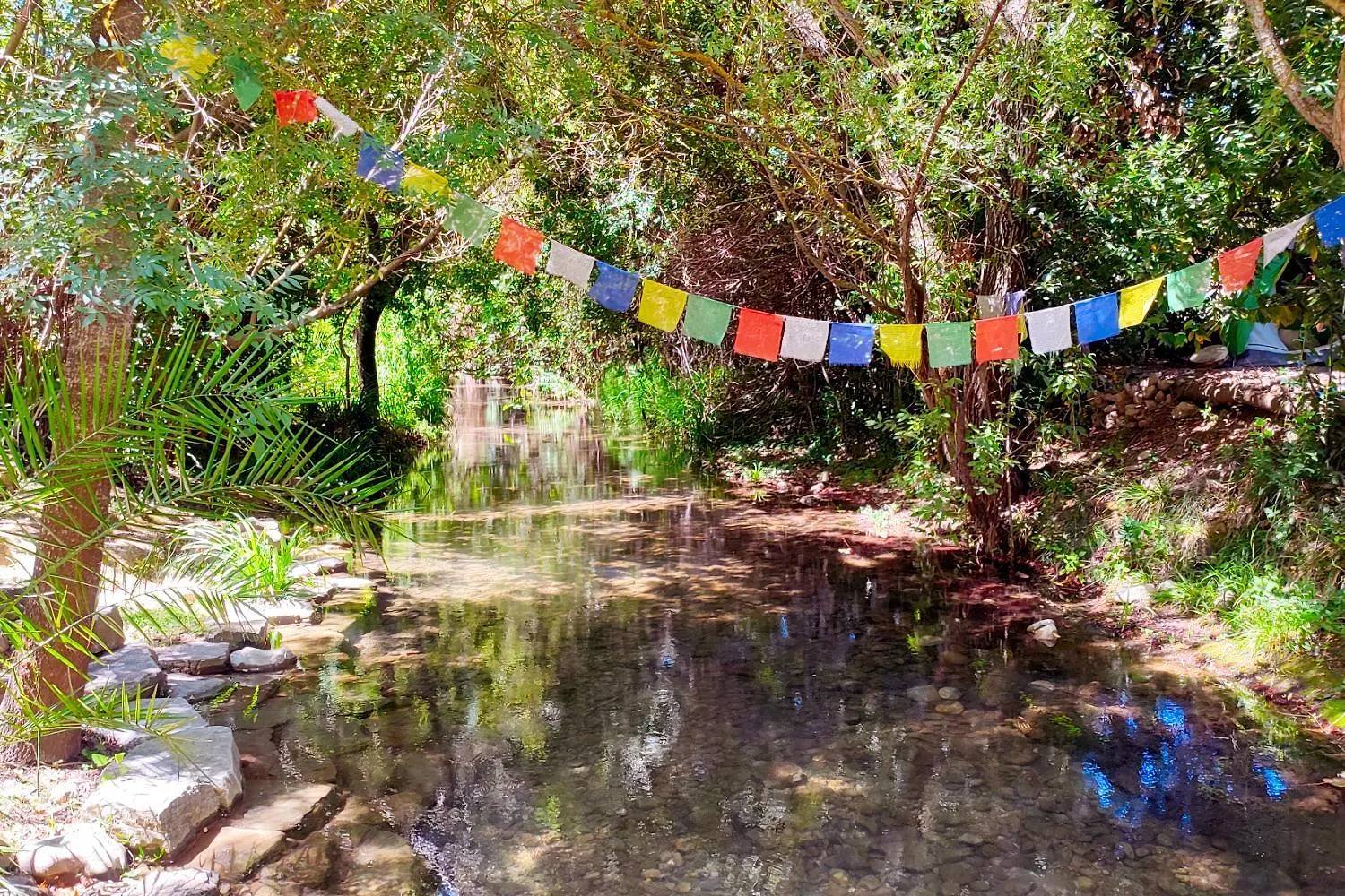 בית הארחה סהרה דה לה סיירה Cinco Lunas Vegetarian Guesthouse ספרד