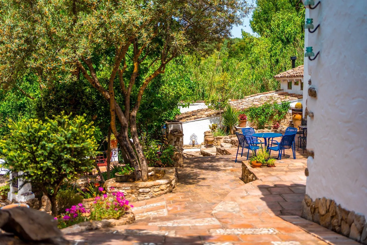 Cinco Lunas Vegetarian Guesthouse Zahara De La Sierra 0*,