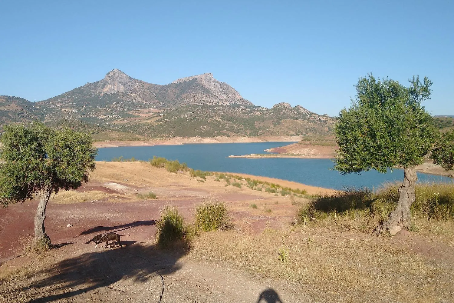 Guest house Cinco Lunas Vegetarian Guesthouse Zahara De La Sierra Spain