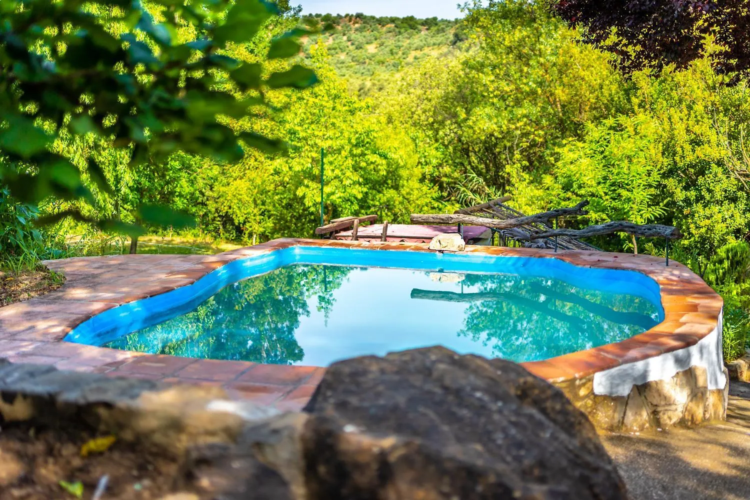 Guest house Cinco Lunas Vegetarian Guesthouse Zahara De La Sierra Spain