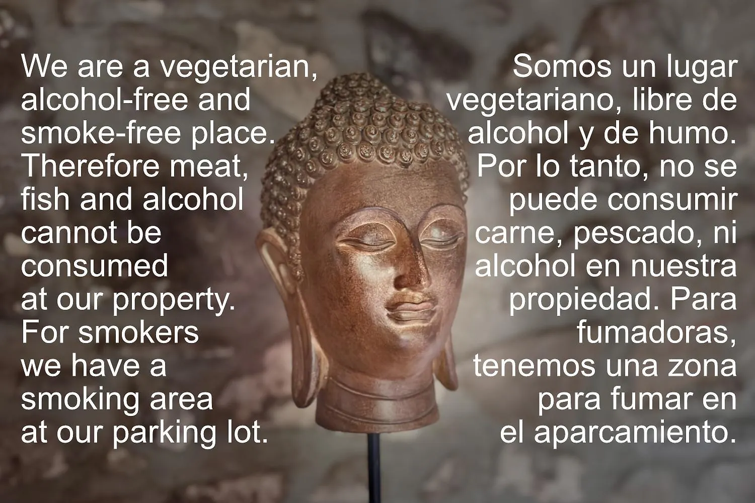 Guest house Cinco Lunas Vegetarian Guesthouse Zahara De La Sierra
